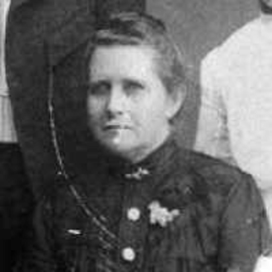 Amy Chase (1851 - 1940) Profile
